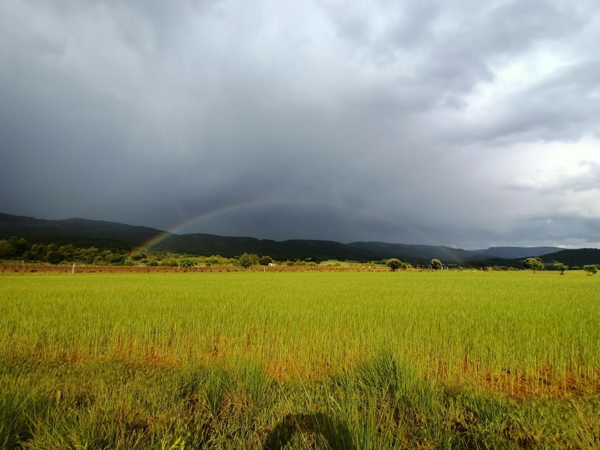 Alojamiento Rural El Cerro Fresneda de la Sierra Esterno foto