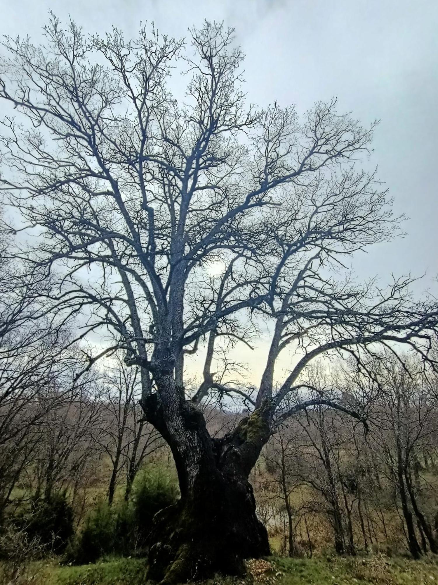 Alojamiento Rural El Cerro Fresneda de la Sierra Esterno foto